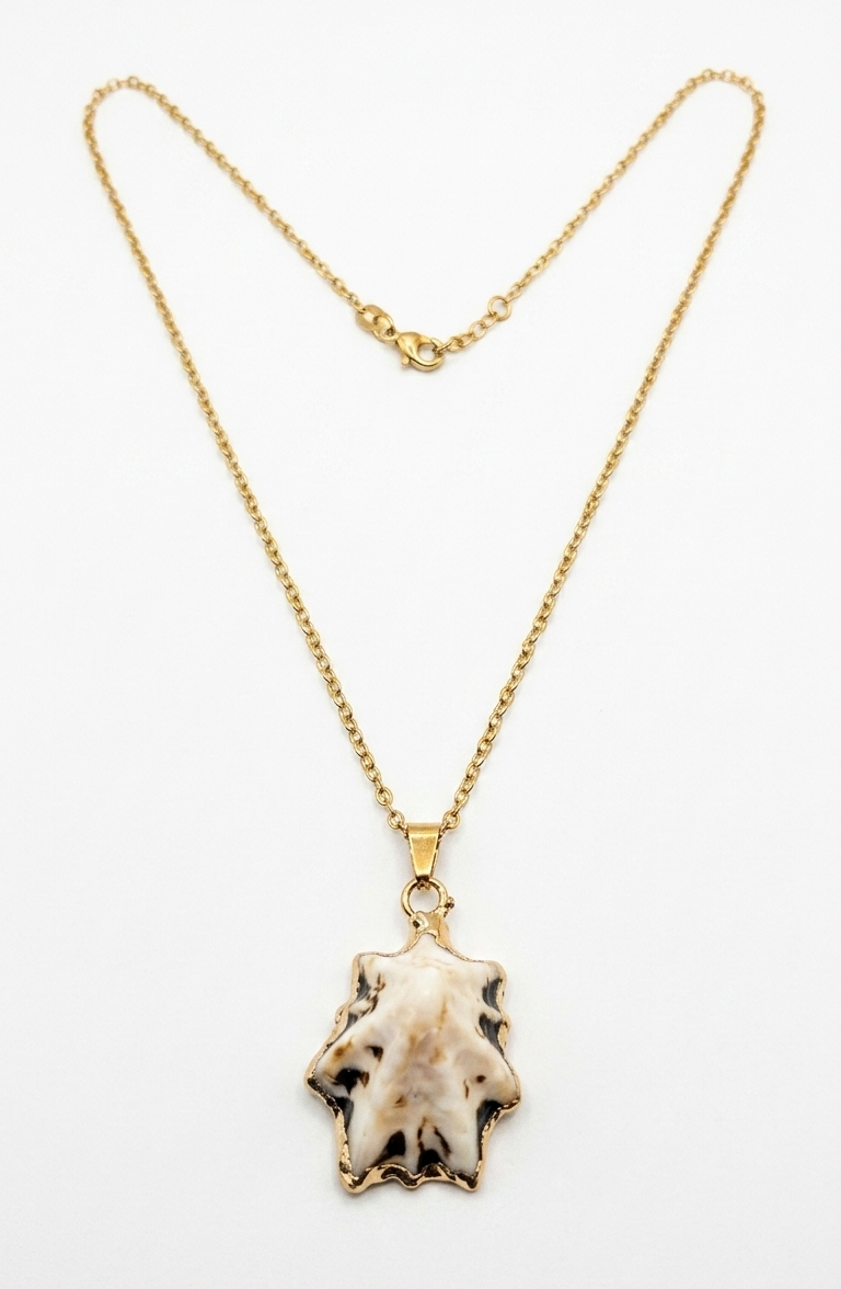 Ona Jwelix Temo Shell Necklace single shell minimalist pendant necklace for girls
